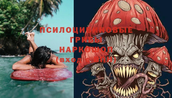 индика Балахна
