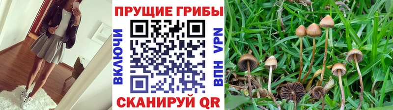 Псилоцибиновые грибы Magic Shrooms  Спас-Деменск 